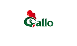 GALLO